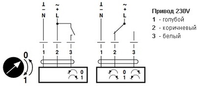 TuneR1002M1-4.jpg TuneR1002M1-4.jpg
